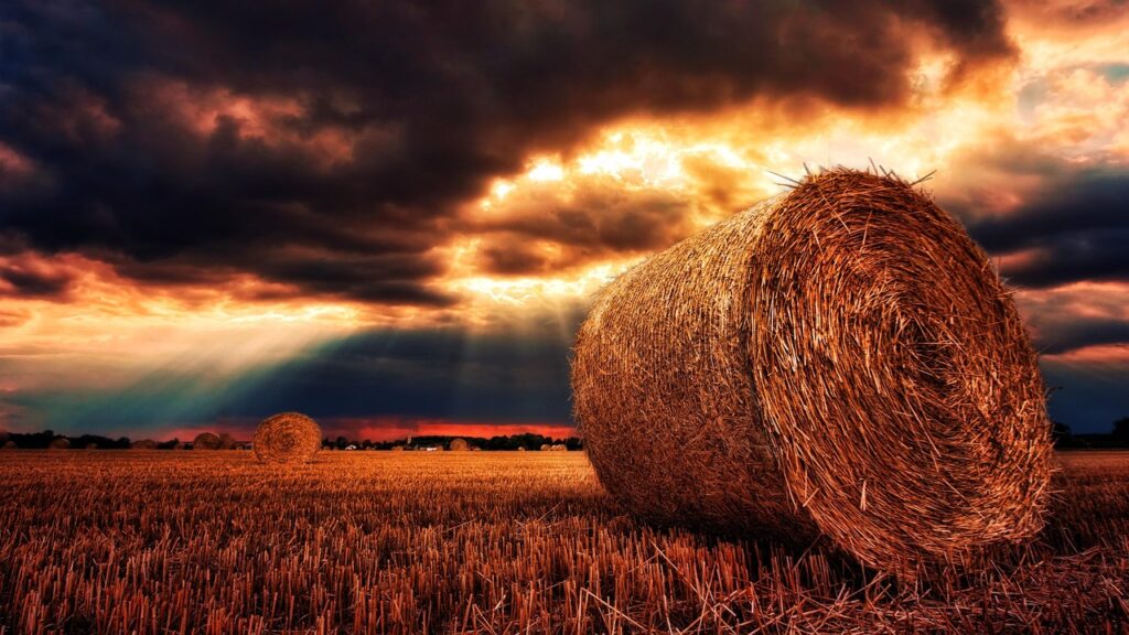 nature, hay bales, straw, straw bales, grain, harvest, sunset, dawn, heaven, panorama, eve, landscape, dusk, summer, stole, hay, lights, sunbeams, clouds, cloud shapes, dark clouds, dramatic, mood, grain, harvest, harvest, harvest, harvest, harvest, heaven, summer, summer, clouds, clouds